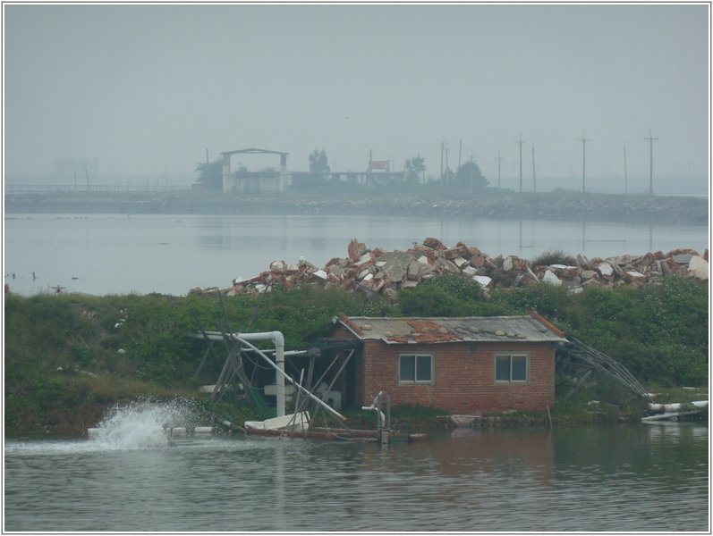 2011-11-27 10-20-28鰲鼓溼地賞鳥趣.JPG